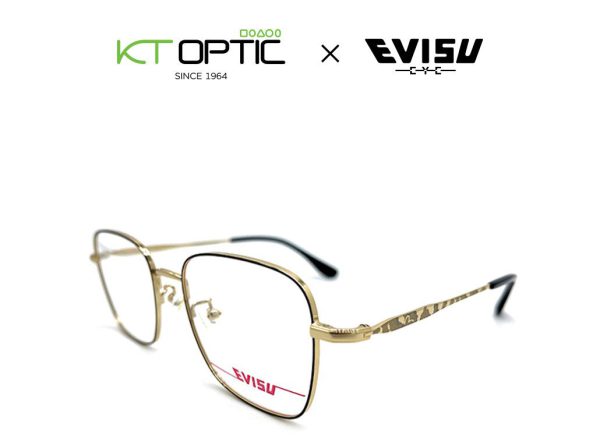 Evisu แว่นตา รุ่น 6040 C2