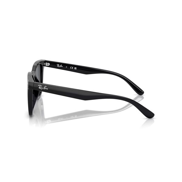 RAYBAN แว่นตากันแดด รุ่น 0RB4391D - Image 3