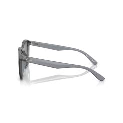 Ray-Ban แว่นกันแดด รุ่น 0RB4392D - Image 4