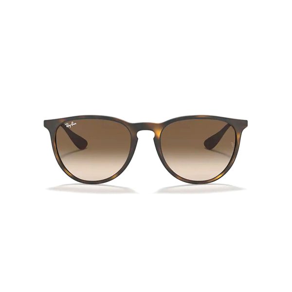 RAYBAN แว่นตากันแดด รุ่น ERIKA CLASSIC 0RB4171F - Image 5