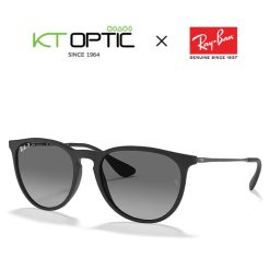 RAYBAN แว่นตากันแดด รุ่น ERIKA COLOR MIX 0RB4171F