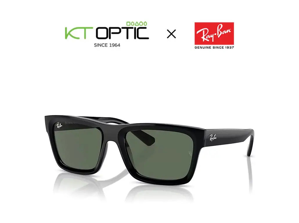 Ray-Ban แว่นกันตาแดด รุ่น WARREN 0RB4396F