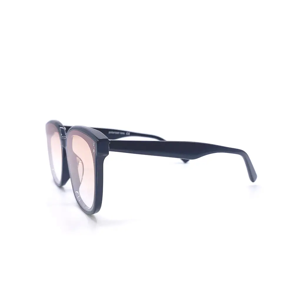 FAM แว่นกันแดด รุ่น SVS002 - Image 3