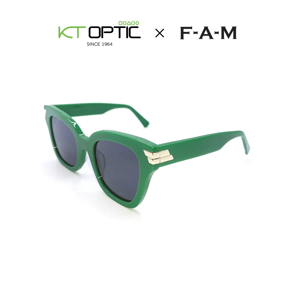 FAM แว่นกันแดด รุ่น TYS011 - Image 3