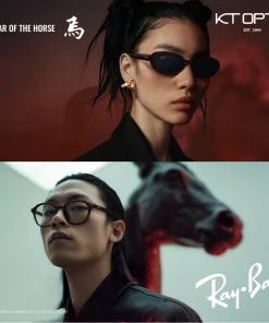 RAYBAN LIMITED EDITION Chinese New Year 2026 OF THE HORSE