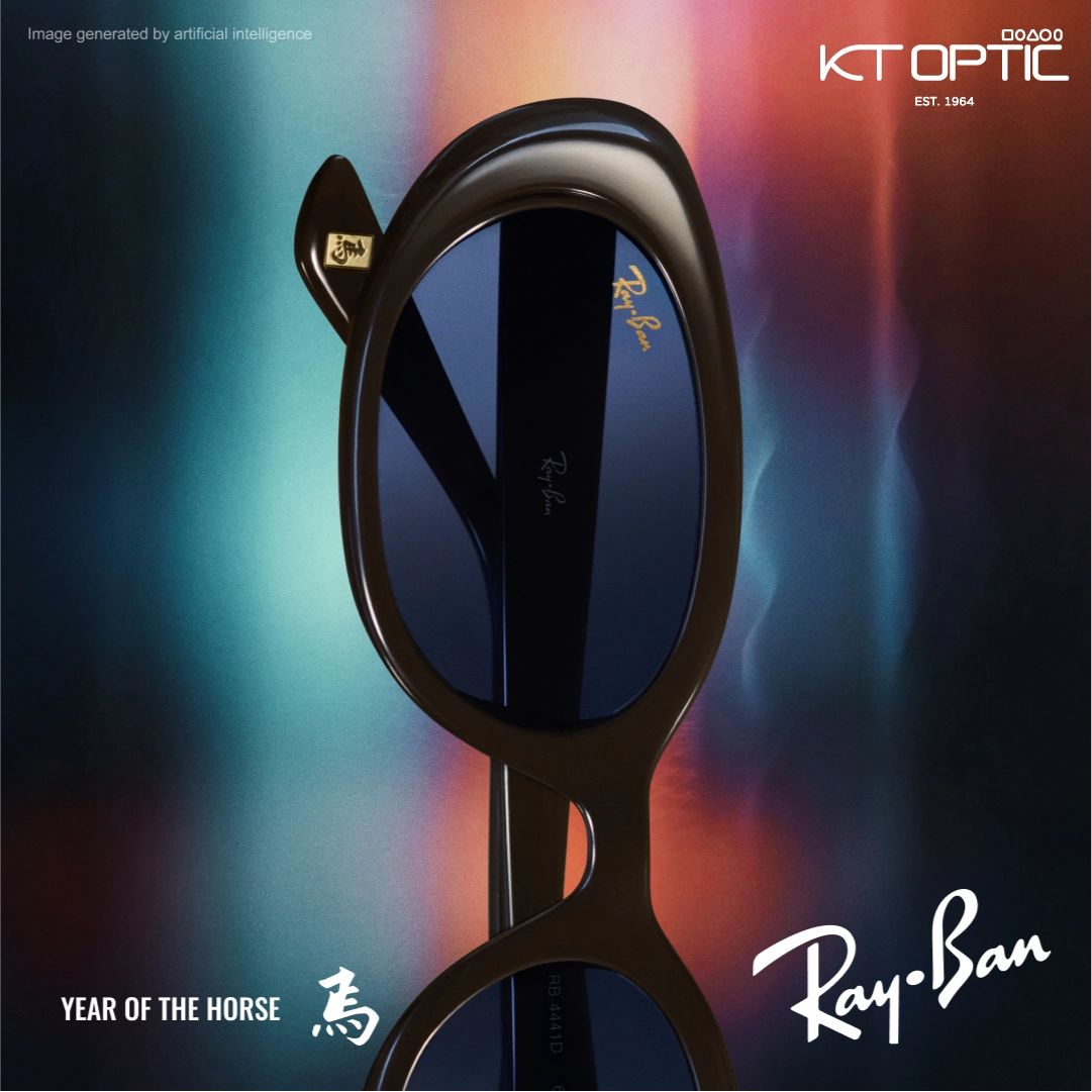 RAYBAN LIMITED EDITION Chinese New Year 2026 OF THE HORSE - Image 8