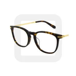 EYEGLASSES