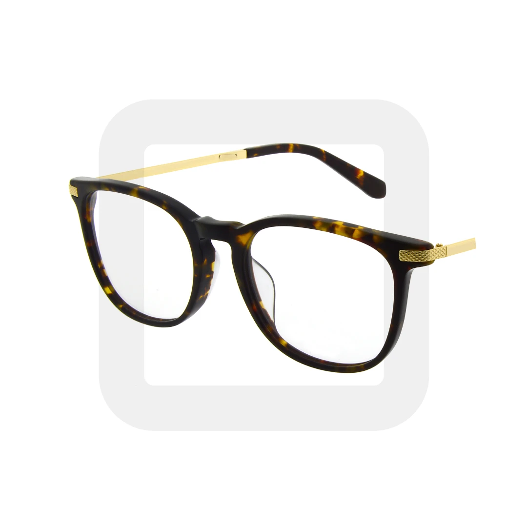 EYEGLASSES